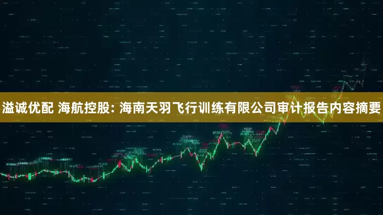 溢诚优配 海航控股: 海南天羽飞行训练有限公司审计报告内容摘要