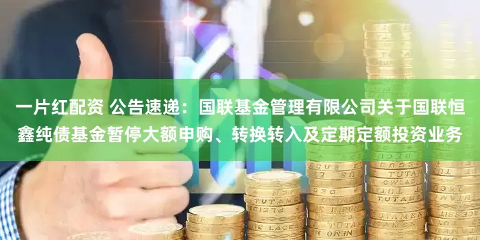 一片红配资 公告速递：国联基金管理有限公司关于国联恒鑫纯债基金暂停大额申购、转换转入及定期定额投资业务