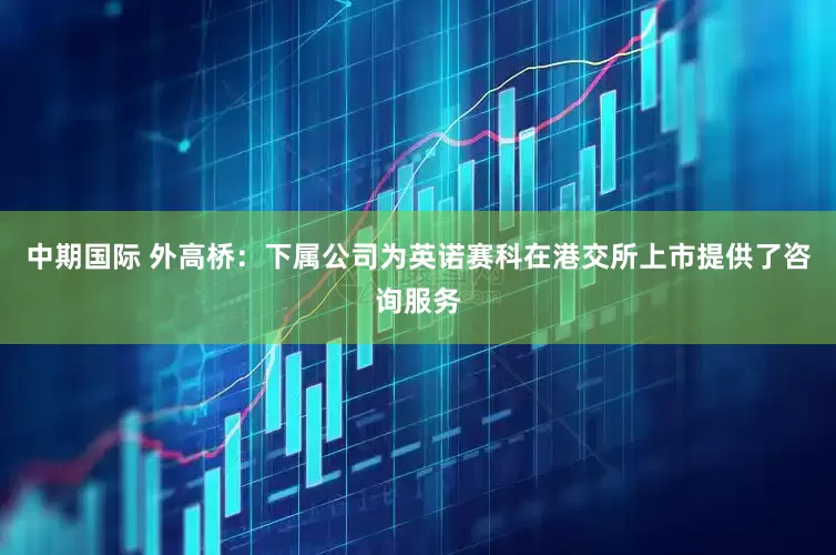 中期国际 外高桥：下属公司为英诺赛科在港交所上市提供了咨询服务